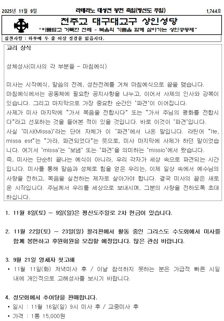 11.9.라테라노 대성전 봉헌 축일001.jpg